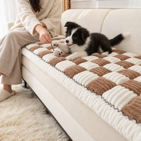 A Border Collie puppy playing with a toy on a Brown Team K9 couch cover