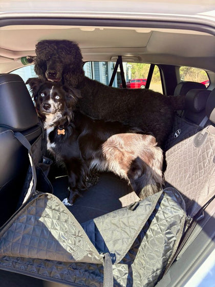 Customer photo from Yvette T.: seat cover installed, Mazda CX-50
