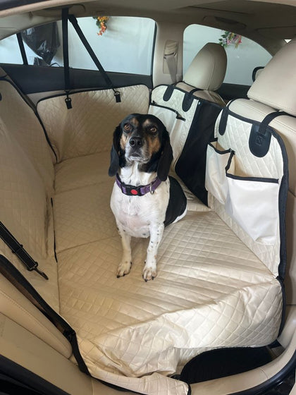 Customer photo from Tracey J.: seat cover installed, 80 lb lab approved