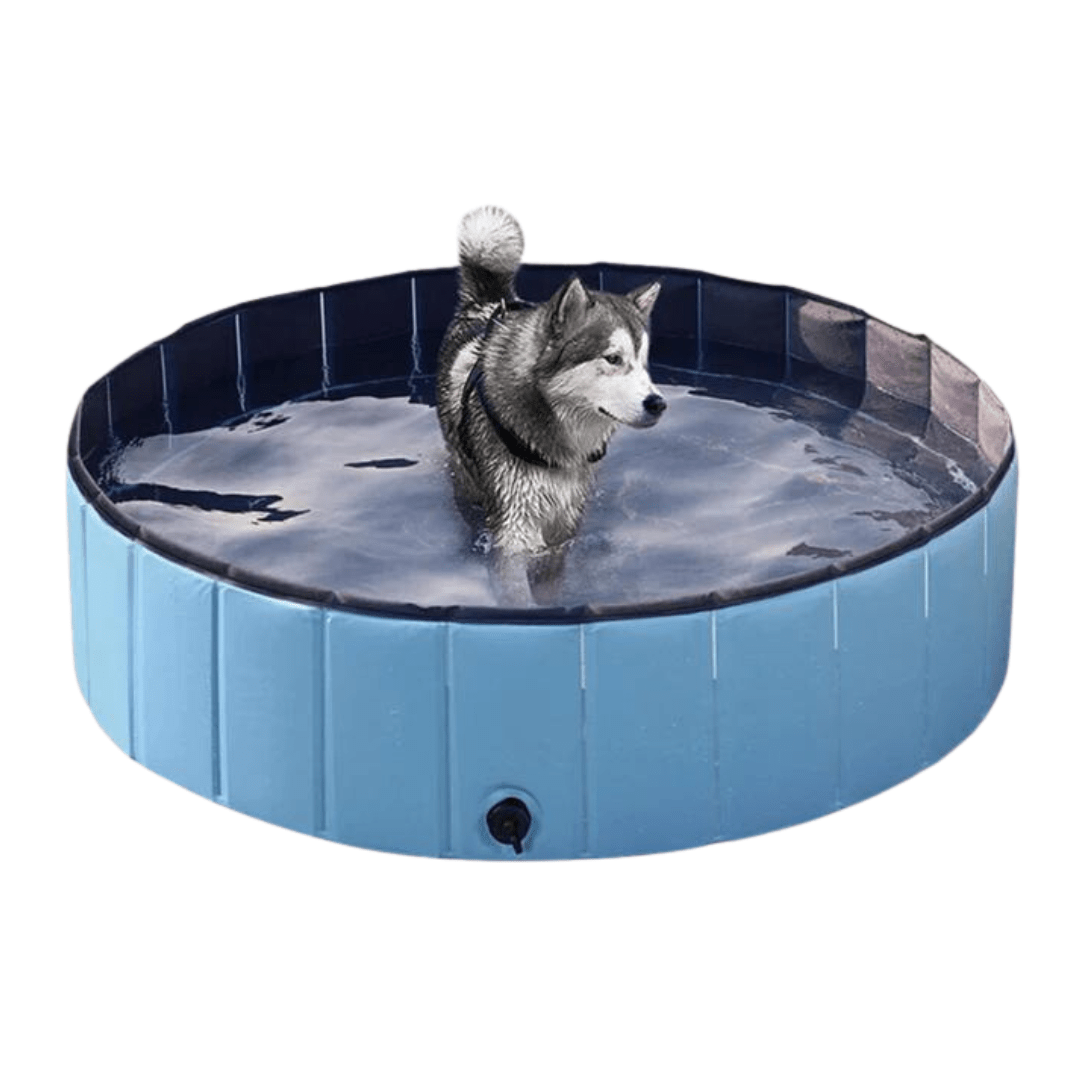 Team K9 dog pool