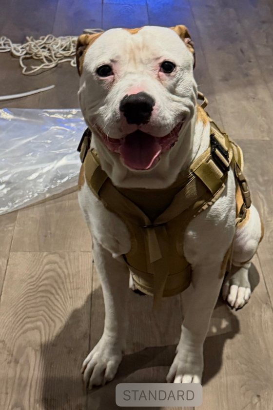 Verified buyer photo