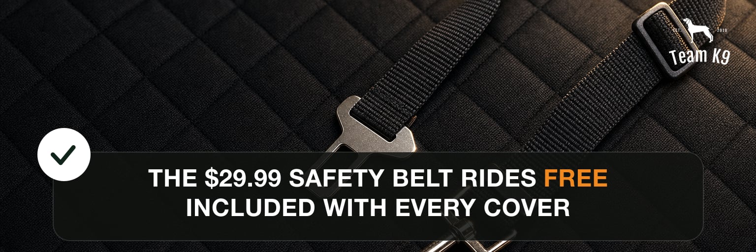 The $29.99 safety belt rides free, included with every cover
