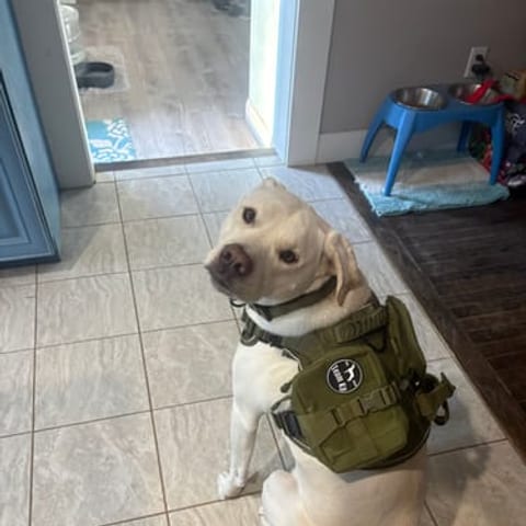 Customer photo from a verified review